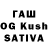 Галлюциногенные грибы Cubensis Tany lll