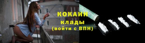 прущие грибы Пересвет