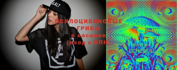 прущие грибы Пересвет