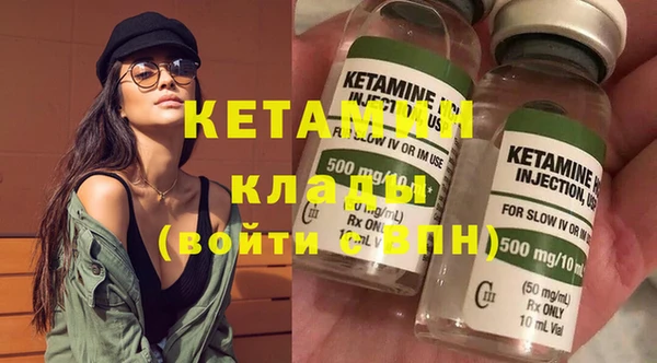 прущие грибы Пересвет
