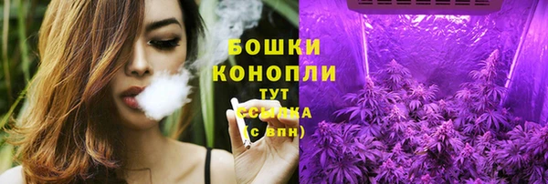 прущие грибы Пересвет