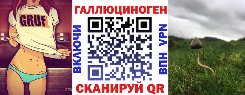 Галлюциногенные грибы мицелий  mega маркетплейс  Отрадный 