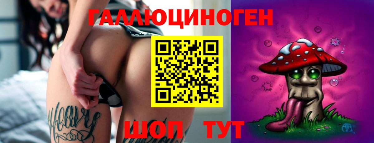Отрадный  Галлюциногенные грибы MAGIC MUSHROOMS  Вход с VPN  Псилоцибиновые грибы GOLDEN TEACHER 